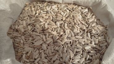 тыквенные семечки цена бишкек: Семечки АК 120 сом звоните — 2