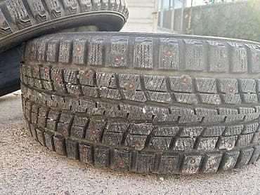 2000: Шины 225 / 55 / R 18, Зимняя шипованная, Комплект, Легковые, DUNLOP — 3