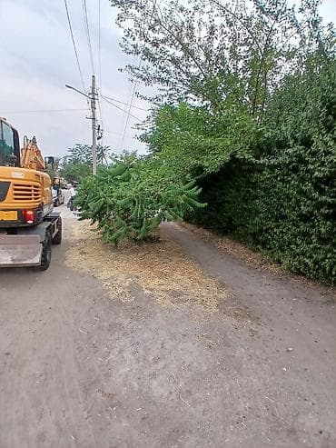 экскаватор самсук: Услуги экскаватора | Водопровод, Демонтаж, Выкорчевывание пней — 1