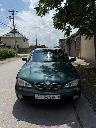 p11: Nissan Primera: 2000 г., Механика, Бензин, Седан — 1