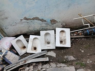 Комнатные растения: Чашаген унитаз туалет 500сом 1 шт почти не пользуется — 1