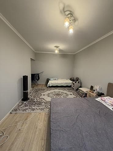 1 комната, 45 м², Восток-5 мкр 106 серия, 9 этаж, Свежий ремонт — 3