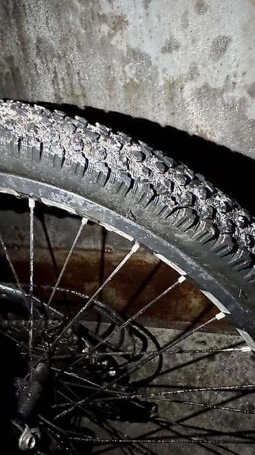 Велосипеддер: Тоо велосипеди, Велосипед алкагы S (145 - 165 см), Алюминий, Колдонулган — 10