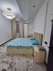 посуточная аренда квартир бишкек: 1 комната, Душевая кабина, Постельное белье, Кондиционер — 13