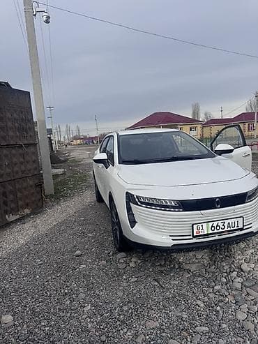 BYD: BYD : 2019 г., Автомат, Электромобиль, Кроссовер — 4