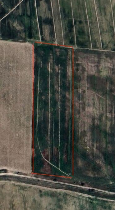 меняю дом на участок: 31 соток, Для строительства, Красная книга, Тех паспорт — 2