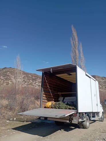 форс набор: Porter, Көчүү, эмеректерди көчүрүү, Эл аралык ташуу, Регион боюнча, Шаар ичинде, жүк ташуучу жумушчусу менен — 1