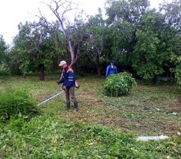 обрезка живой изгороди: Стрижка Живой изгороди. Улуги садовника. Наши услуги: Весенняя — 8
