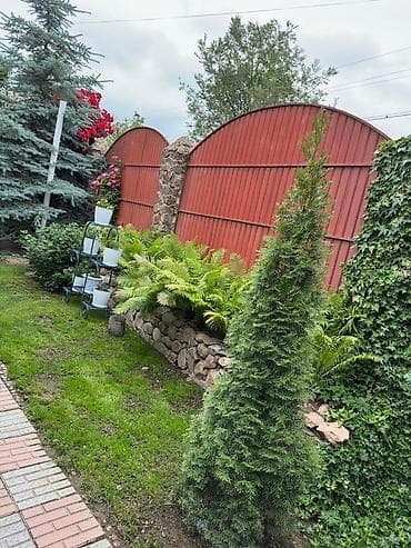 поливной кленка: Мангал Классический — 6