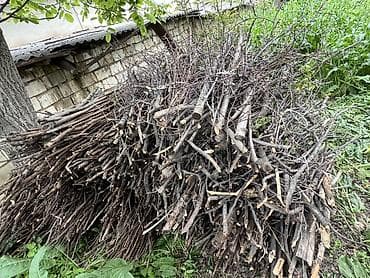 кант уголь: Дрова Самовывоз, Платная доставка — 2