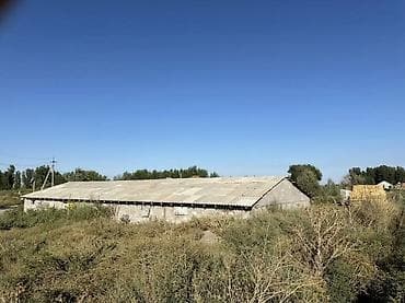 ферма скотник: Цена чуть чуть уступлю Село Беш Терек Продается Кошар на земельном — 5