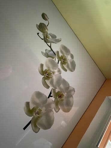 ремонт натяжного потолка после затопления цена: Натяжной потолок 3D потолки, Глянцевое, Матовое Бесплатная консультация, Бесплатный замер, Гарантия — 2