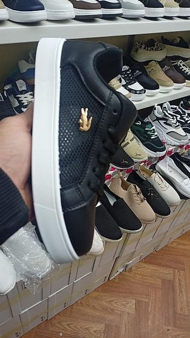 Эркектердин кроссовкасы, 36, 37, 38, Lacoste, Жаңы, түсү - Ак, Акысыз жеткирүү — 2