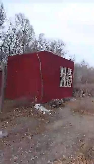 плодовый сад: 2500 соток — 1