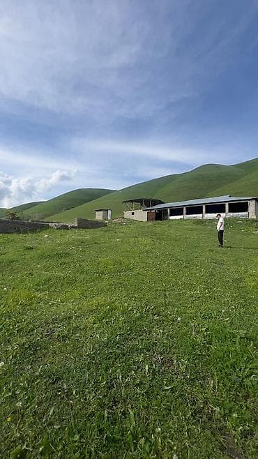 3 сотки: 24 соток, Для бизнеса, Красная книга — 2