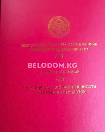 Кыймылсыз мүлк: 3 соток, Айыл чарба үчүн, Кызыл китеп — 2