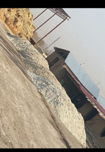 оптом корм для кошек: Корма для с/х животных — 2