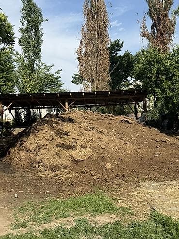 куплю дрова бишкек: Малдын кыгы бар 2-3 камазбекеркелип алып кетсениздер болот — 2