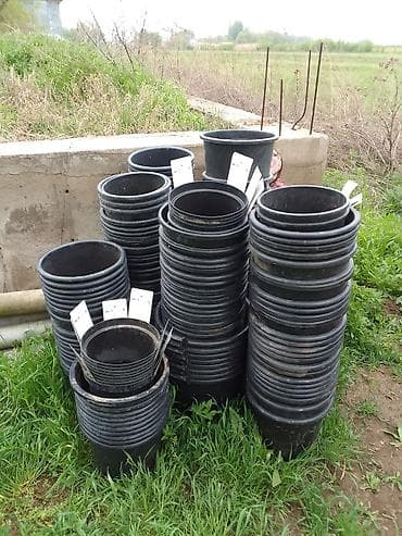 кала: Пластиковые горшки для рассады и садовых растений - Материал: плотный — 2