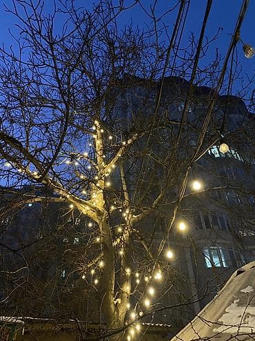 2 комнаты, Собственник, С подселением, С мебелью полностью at lalafo.kg 2 комнаты, Собственник, С подселением, С мебелью полностью