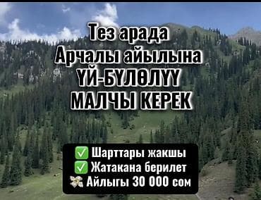 бала бакканга: Талап кылынат Чабан, Төлөм: Ай сайын, Тамактануу — 1