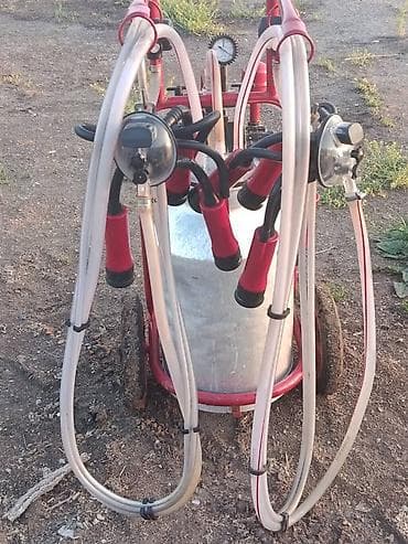 ветеринар вызов дом в бишкеке: Доильный аппарат на тележке, двухпостовой Описание: - Передвижной — 1