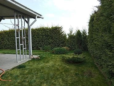 паркинг ихлас: Коттедж, Мирас Сары-Ой — 10