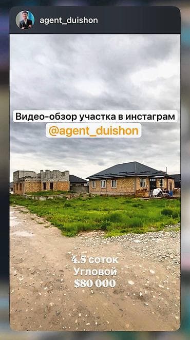 800: 4 соток, Для строительства, Красная книга — 8