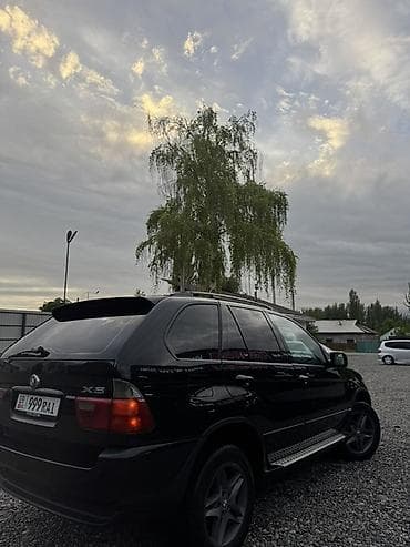 канистра бмв: BMW X5: 2003 г., 3 л, Автомат, Дизель, Кроссовер — 2