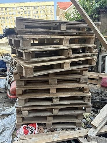 домашние птицы: Поддон В наличии — 2