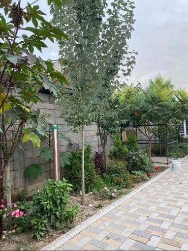 дом с баней и бассейном: Дом, 300 м², 10 комнат, Собственник, Евроремонт — 2