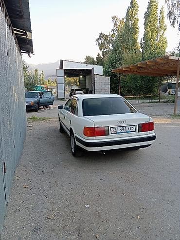 Audi 100: 1991 г., 0.2 л, Ручные, Бензин, Седан