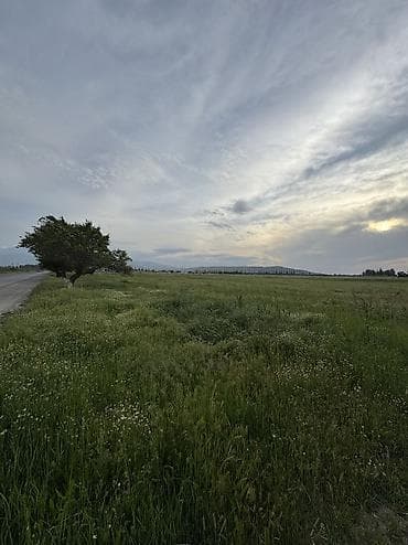 куплю участок пригородный: 282 соток, Для строительства, Договор купли-продажи, Красная книга — 1