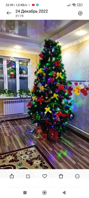 офисные часы: Сдается в аренду. Жаны жылдык балаты арендага берилет. Бийиги 4.5 — 1