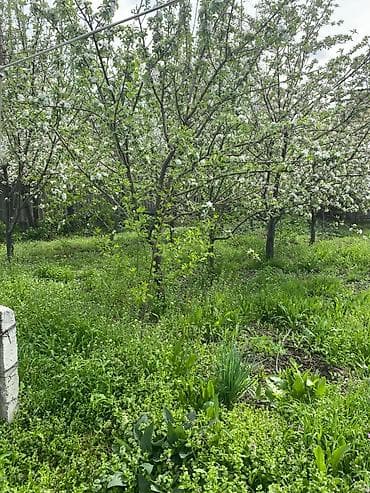 дача пригородный: Продаётся одноэтажный кирпичный дом с приусадебным участком и садом — 3