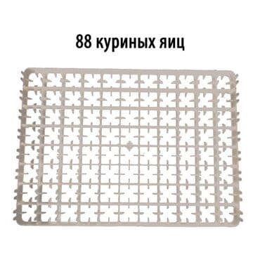 Лоток для куриных яиц на 88 яиц Данный лоток для куриных яиц широко at lalafo.kg Лоток для куриных яиц на 88 яиц Данный лоток для куриных яиц широко