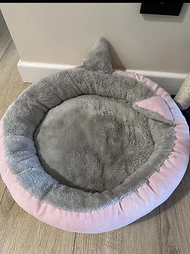 кошка мышык: Ургаачы, Лотокко барууга үйрөтүлгөн — 7