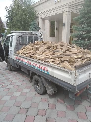 сокулук арал: Отун Карагач, Акысыз жеткирүү, Акылуу жеткирүү — 1