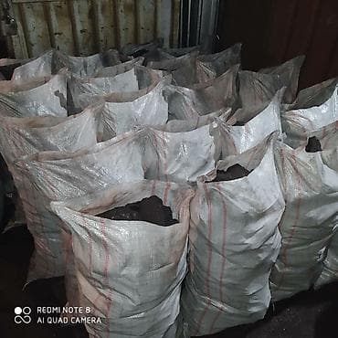 дрова в бишкеке: Кара кече беш сары250с,шабыркуль450 дрова 250 — 3