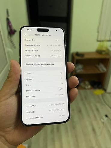 айыон 16: IPhone 15 Pro Max, 256 ГБ, Black Titanium, 89 % — 3