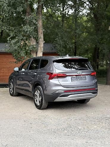 byd leopard: Hyundai Santa Fe: 2022 г., 2.2 л, Дизель, Кроссовер — 2