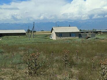 дом в районе кызыл аскер: Продаю Кошара, 600 соток, Действующий, С оборудованием, Электричество, Скважина — 12