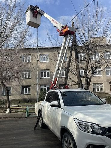 продаю цветы комнатные: Стрела 12 м, 200 т — 1