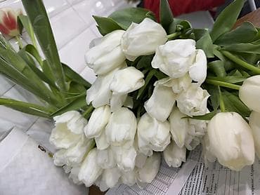 Декор и интерьер: Свежие, крупные, яркие голландские тюльпаны — идеальный подарок для — 6