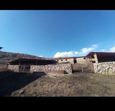 меняю на скот: Продается действующий бизнес кашар вместе с садом для разведения скота — 10