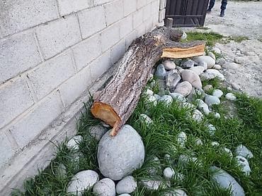 сколько стоит кубометр дров: Дрова — 2