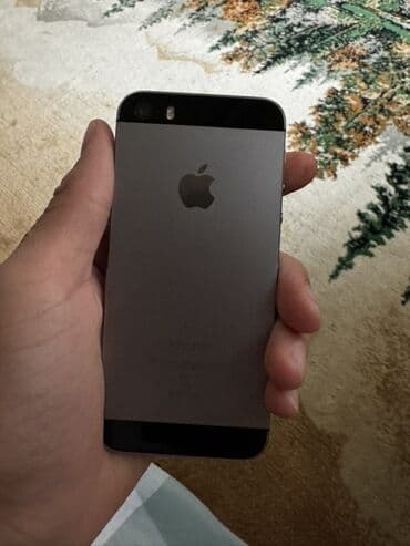 скание: IPhone 5s, Space Gray — 4