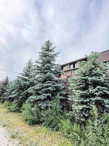 продаю дом киргизия 1: Здание, 1300 м² — 1