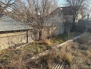 Жер тилкелери: 5 соток, Кызыл китеп — 3