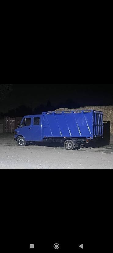 Mercedes-Benz : 1995 г., 2.9 л, Дизель